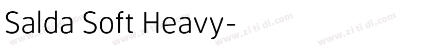 Salda Soft Heavy字体转换